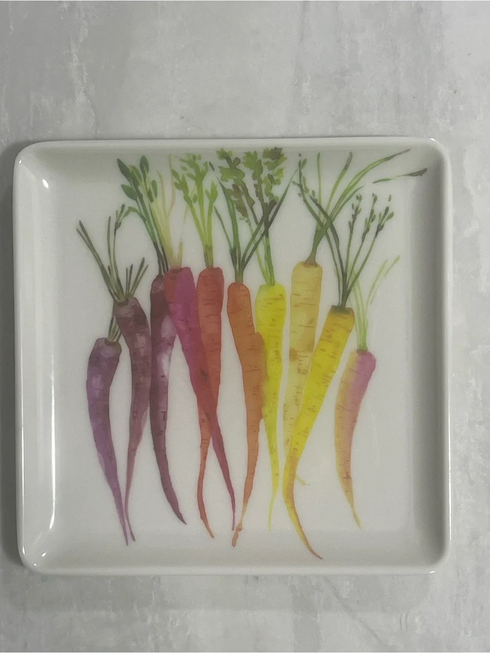 Set of 6 